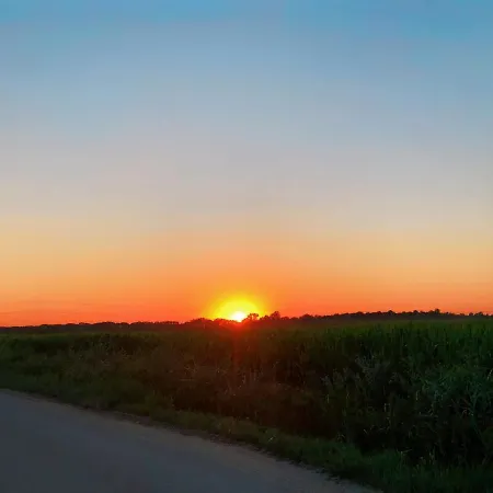 Elegant 1-bedroom Flat With Balcony Near דירה