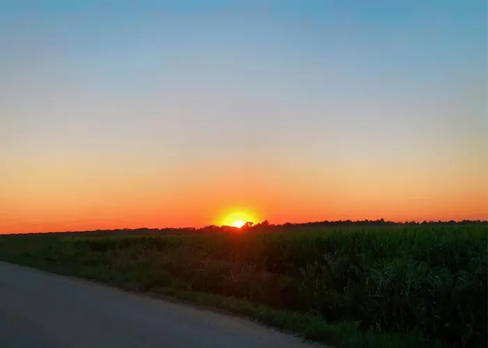 Elegant 1-bedroom Flat With Balcony Near Apartment